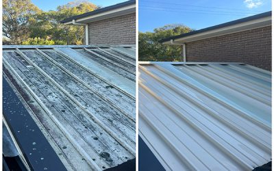 Roof Washing 101: Protecting Your Home from Mould and Mildew Damage