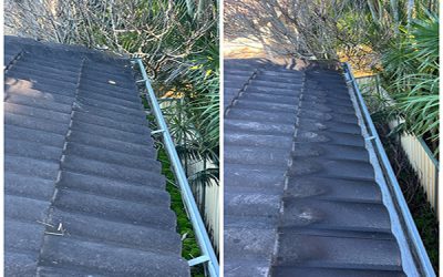 Save Money with Clean Gutters: Here’s Why It Matters
